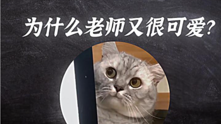 为什么老师又很可爱？