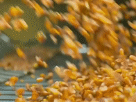 助力农户减损，平安农灾大模型筑起农业风险防控“堤坝”