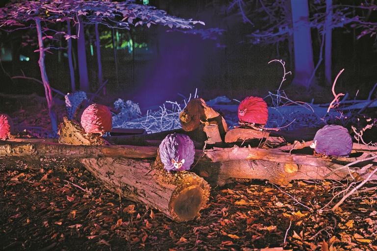 “哈利·波特：禁忌森林体验”门票开售 限时优惠开启