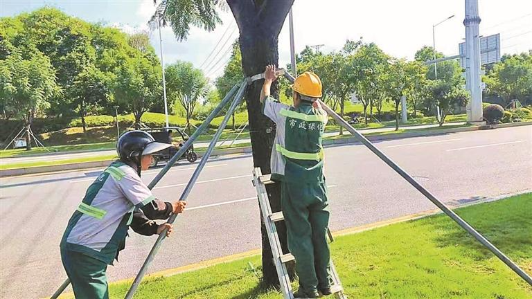 光明区：铁脚板织密排查网 暖心肠守护千万家