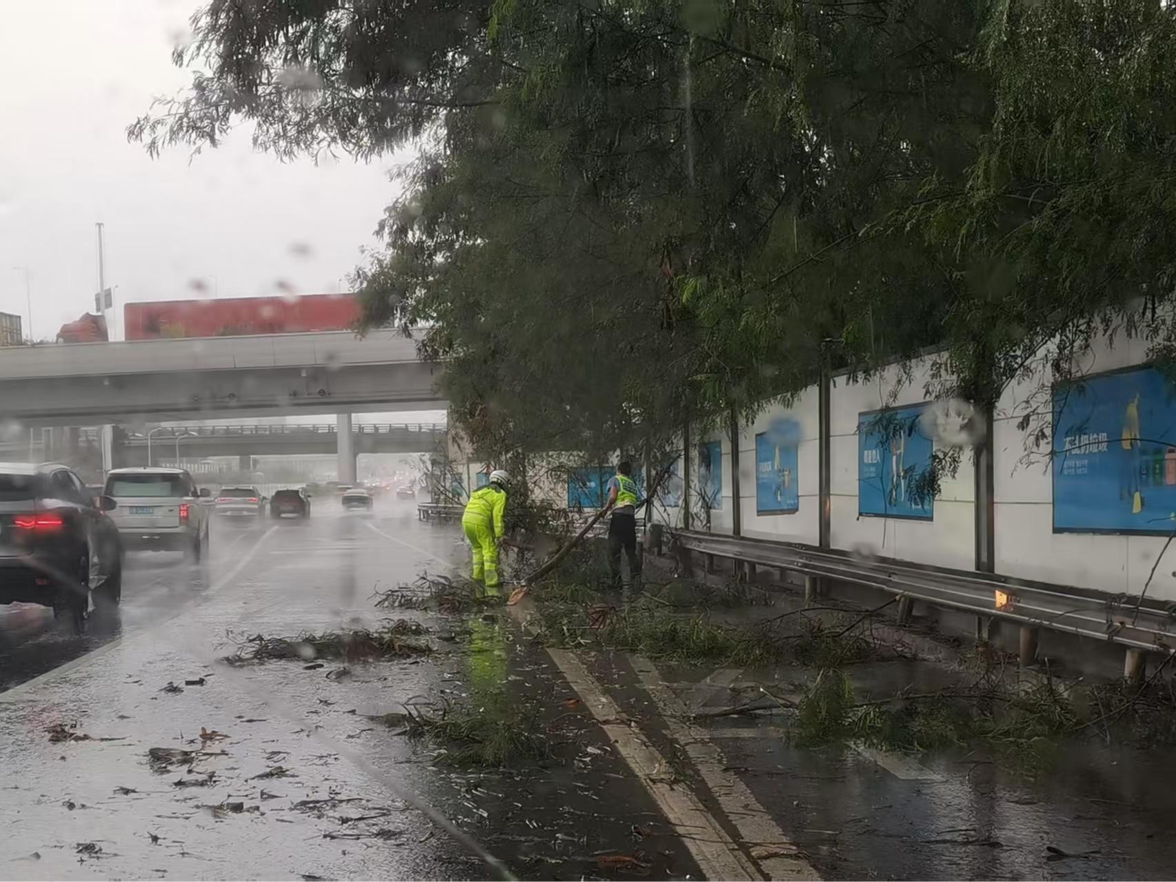 龙华铁骑徒手清障保畅通，风雨之中显担当