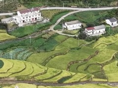 看“丰”景 秋粮抢收进行时 