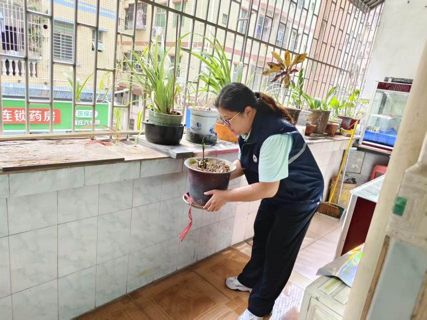 南庄社区：多点发力织密防台风“安全网”，筑牢群众生命财产“防护墙”