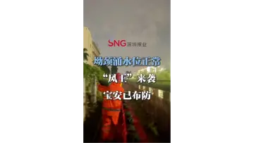 湾视频｜坳颈涌水位正常 “风王”来袭 宝安已布防