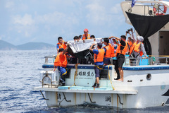 海南万宁获救海豚“万万”成功回归大海（4）