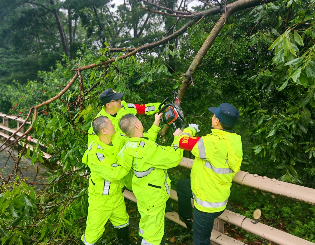 台风“桦加沙”影响减弱，广深高速、南沙大桥、虎门大桥解除交通管制