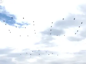 壮观！空中梯队组成“80”字样，伟大抗战精神不朽