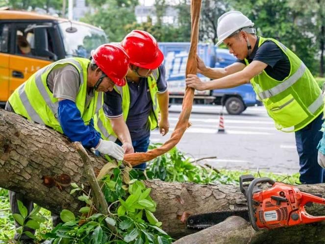 修剪树木、检修路灯……深圳城管多举措筑牢城市安全防线