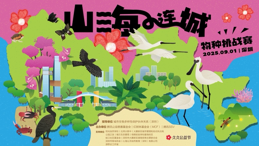 2025深圳山海连城物种挑战赛：一场与自然深度对话正在大鹏新区精彩上演