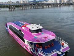 故障频出　首尔“水上巴士”运营十天后暂停服务
