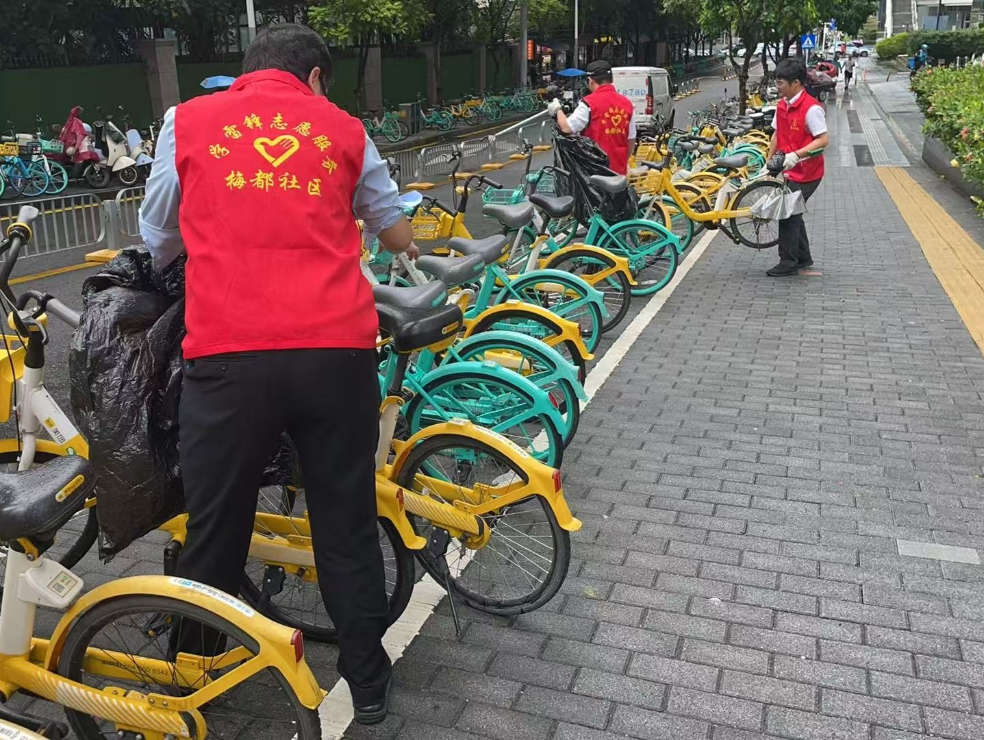 党建引领聚合力 雷锋精神暖社区 梅都社区积极开展台风后清障护容志愿服务