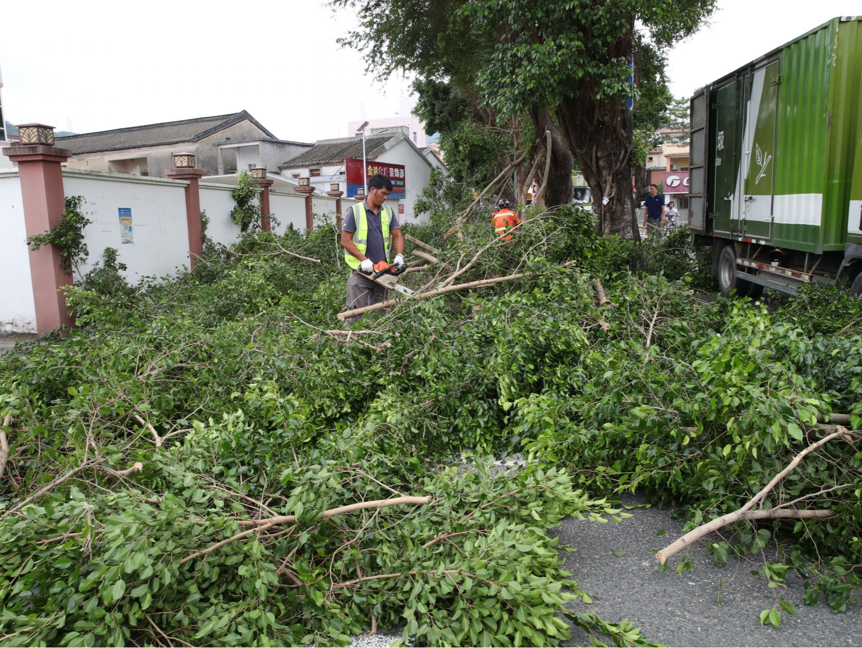 锯树枝防御台风