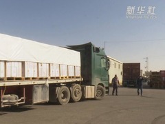约5.5万个中国援加沙地带食品包运抵加沙