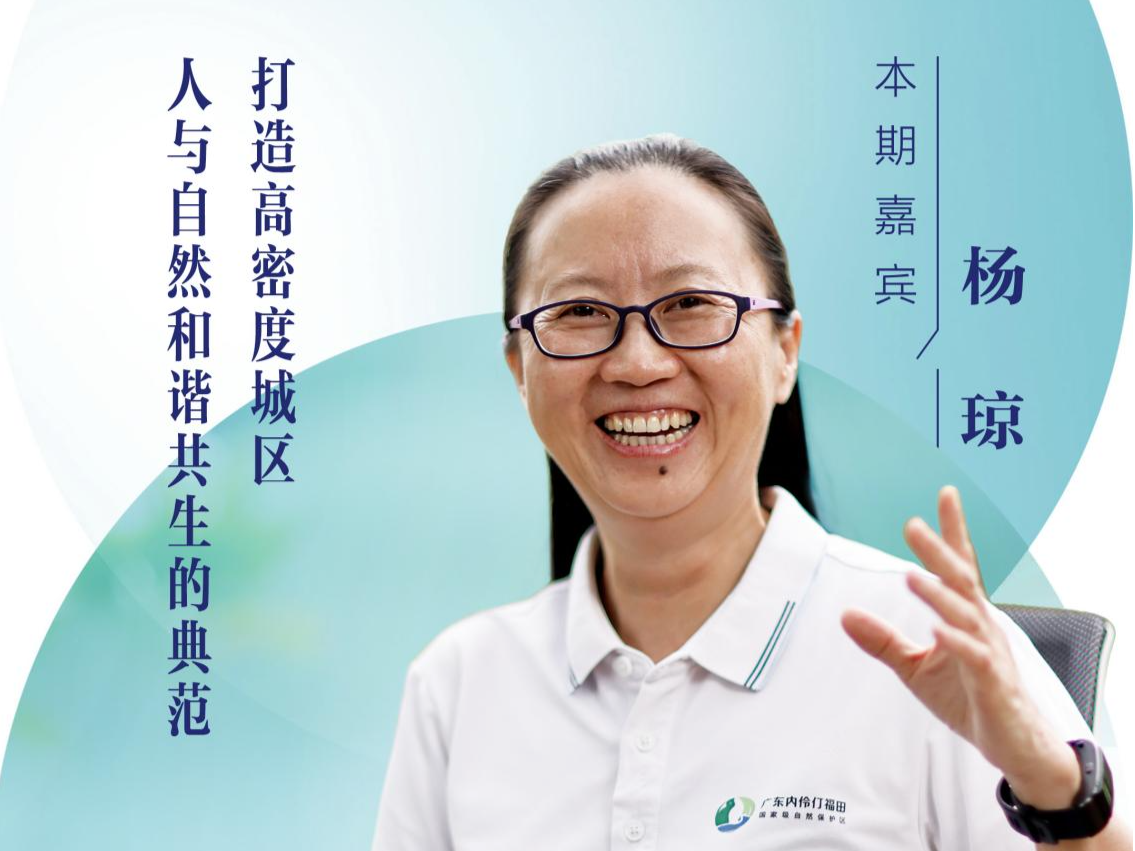 口述岁月·福田——杨琼：打造高密度城区人与自然和谐共生的典范