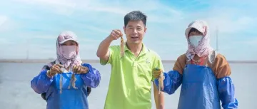 广东万顷海洋牧场孕育万亿产业