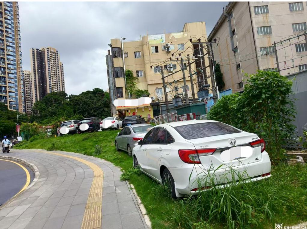 深圳龙岗一绿化带有车辆长期违停？街道办回应：已开展清理工作丨有料
