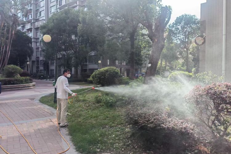 聚焦重点区域开展分级精准消杀！翠亨新区（南朗街道）开展节前爱国卫生行动