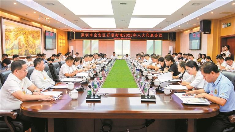 锚定“万亿石岩” 谋大事干大事成大事