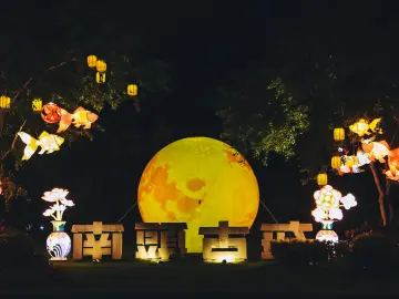 花灯、皮影、月光市集，一键解锁国庆中秋打卡清单！