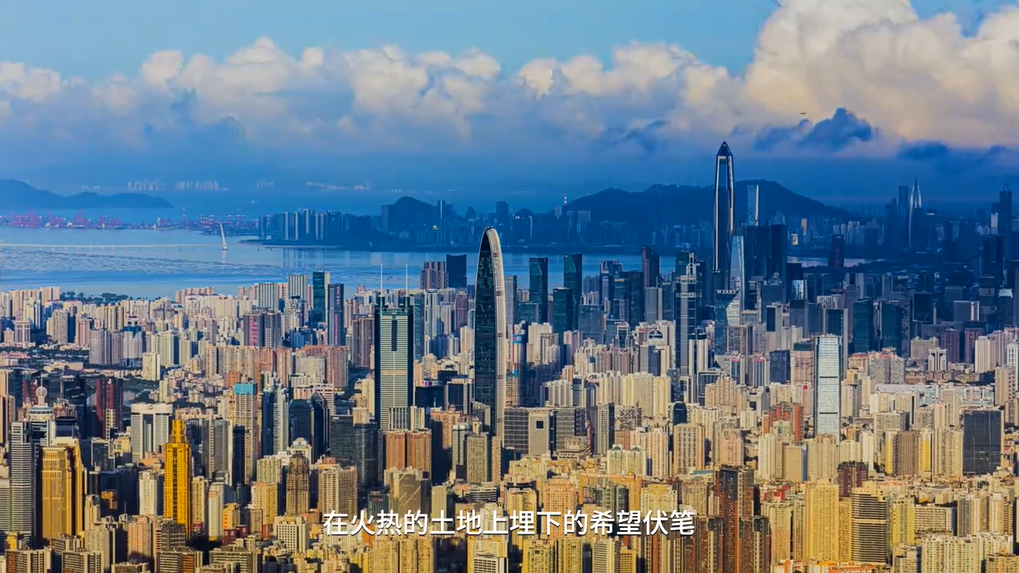 《感谢春天》致敬深圳教育人！