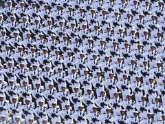 “五彩斑斓”的白色方队——走进海军方队