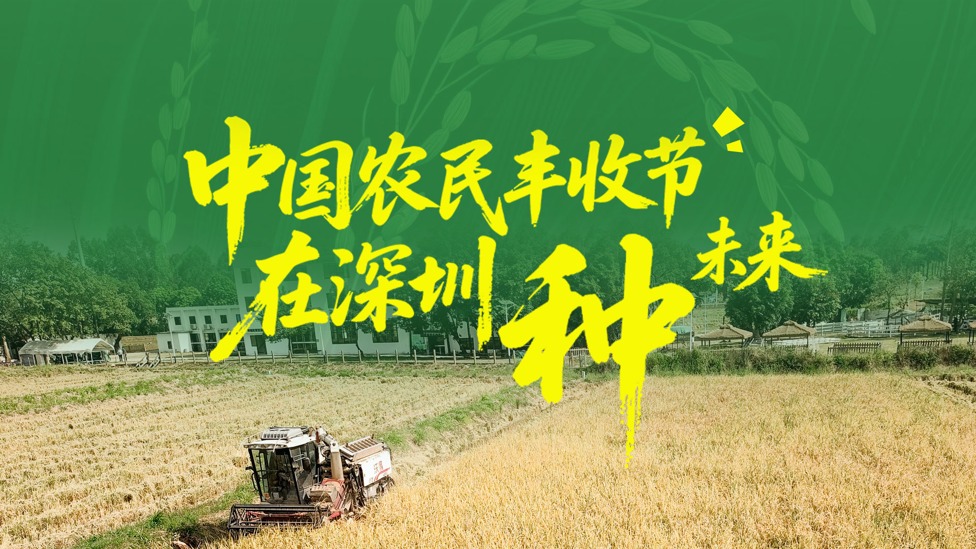 海报 | 中国农民丰收节，一起在深圳“种”未来