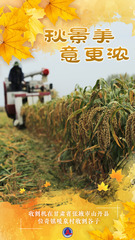 （图表·海报）秋景美 意更浓（7）