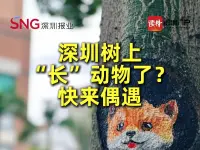 深圳树上“长”动物了？快来偶遇