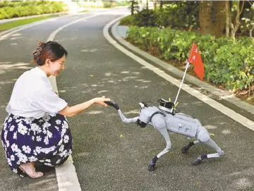 晶报特别报道 | 秋季蚊虫活跃，“双节”出游注意防蚊