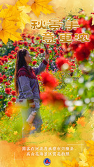 （图表·海报）秋景美 意更浓（3）