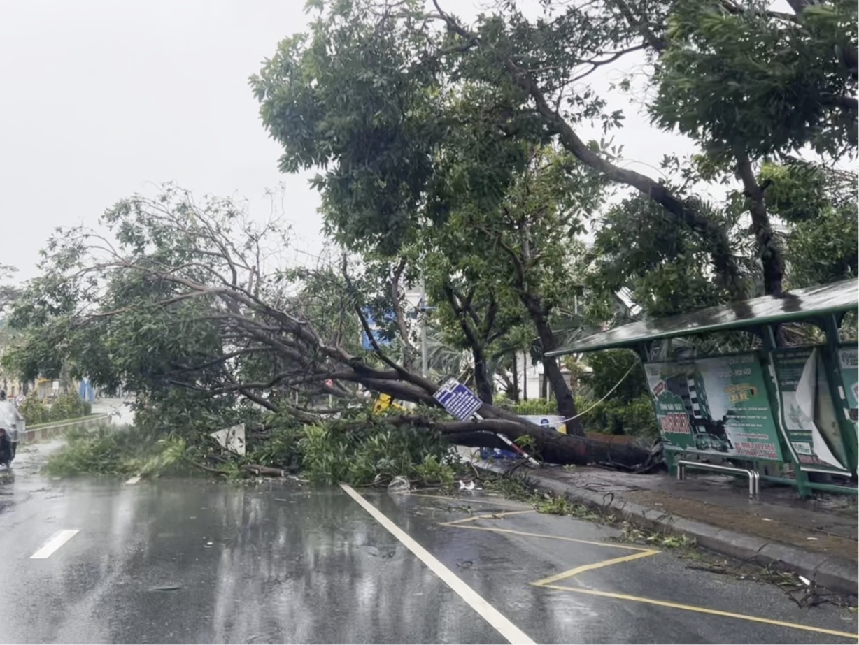 台风“博罗依”登陆越南后已造成16人死亡，21人失踪
