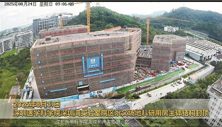 深圳医学科学院及深圳湾实验室院区永久场地科研用房主体结构封顶
