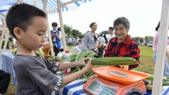 农耕劳动助成长