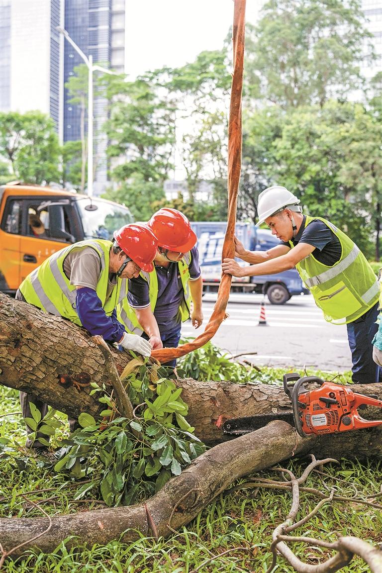 深圳：众志成城筑防线