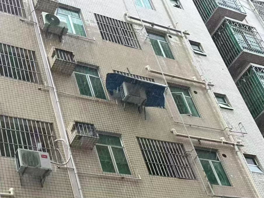 “一键下单”立即办，一张张工单接住深圳全民参与城市守护的热忱