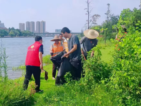 沙田镇组织开展“河湖保洁日”活动，守护美丽家园