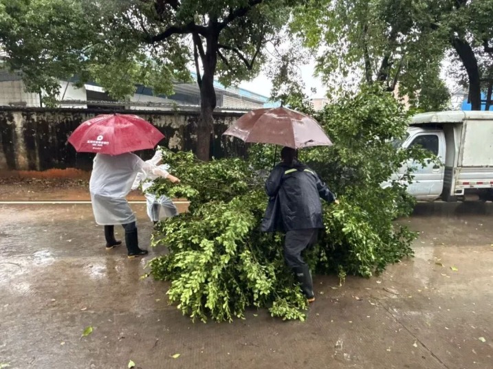 抗击“桦加沙”丨风雨中的守护，为百姓筑起坚实可靠的安全防线