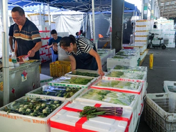 深圳海吉星日均蔬菜来货量近5600吨!全力守护台风天市民“菜篮子”