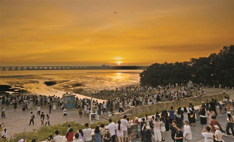 发现身边美好 | 山海人文皆入画 品质生活触手及