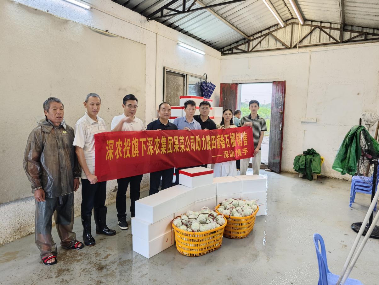 深农集团“以购代帮”助农增收，汕头潮南特色农产品直供深圳市场