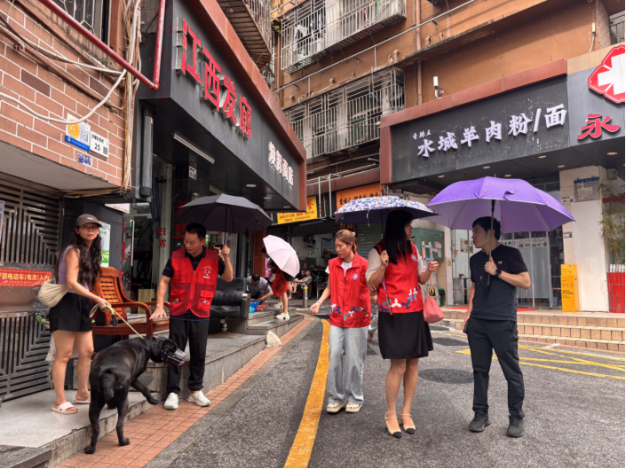 台风天带着百斤爱犬去哪安置？南园街道沙埔头社区：安排！