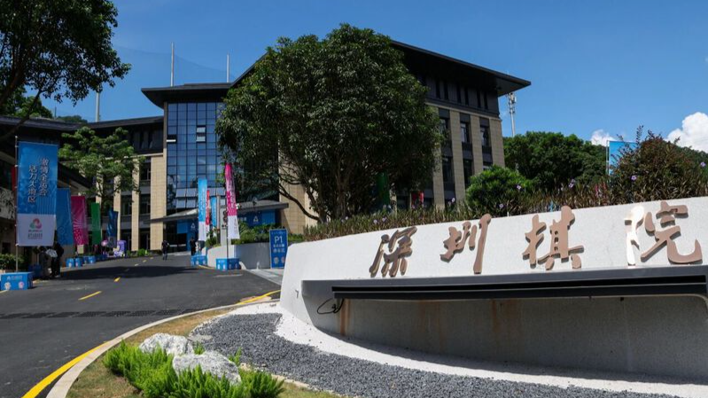 十五运会国际象棋明日开赛 23日下午及24日停赛 罗湖赛区制定了赛事“熔断”等工作方案