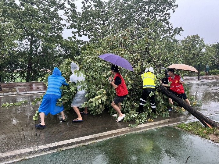 抗击“桦加沙”｜清路障，排内涝！这些身影是最暖的光