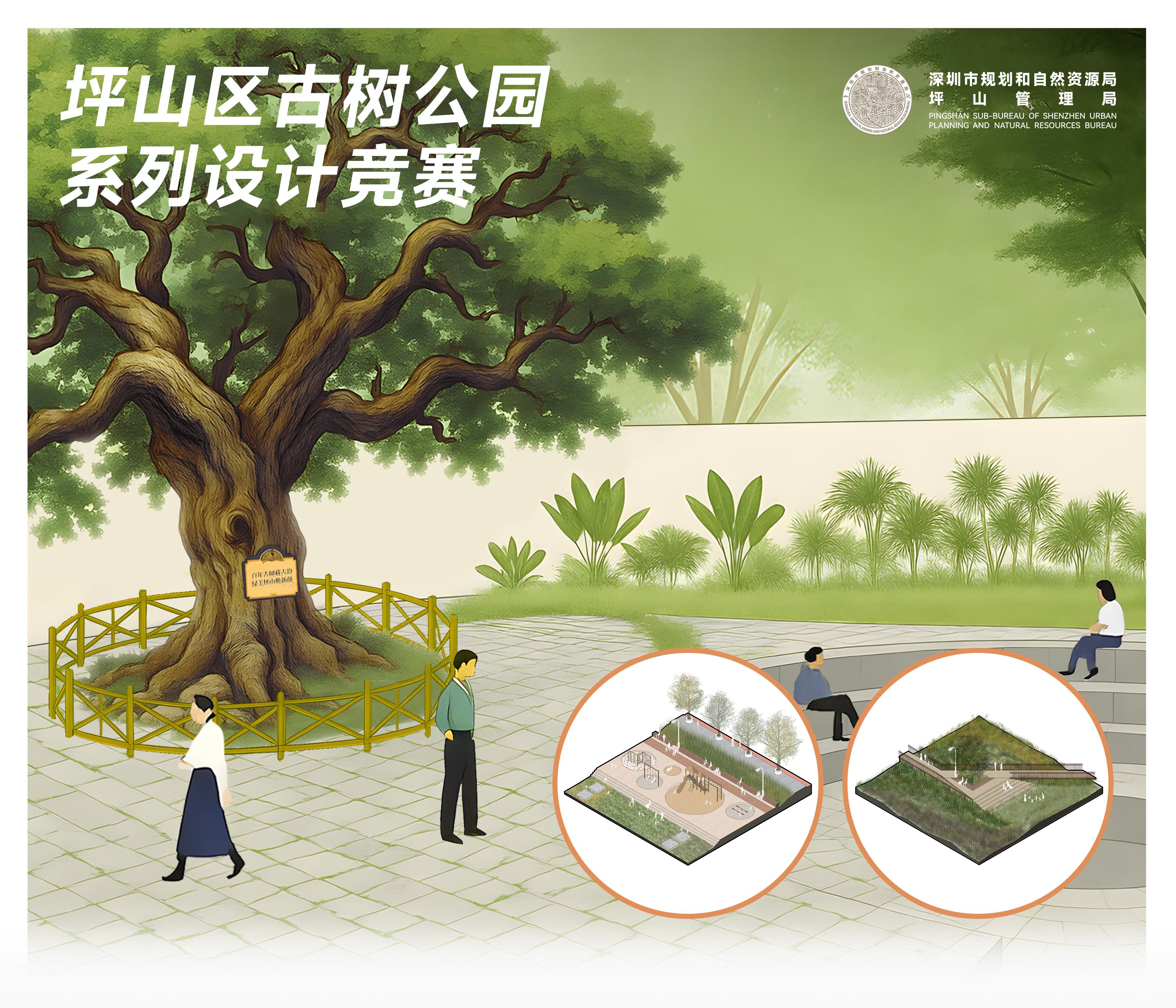 以竞赛为平台，打造古树与城市共生的坪山经验
