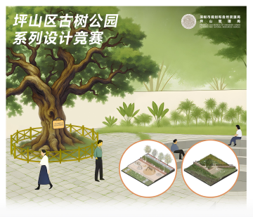 以竞赛为平台，打造古树与城市共生的坪山经验