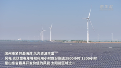 山东滨州：渤海之滨焕“新”颜
