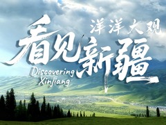 洋洋大观｜看见新疆