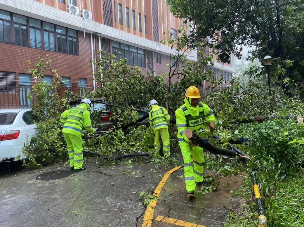 打通市民平安路！福田区人武部组织民兵清理路障	