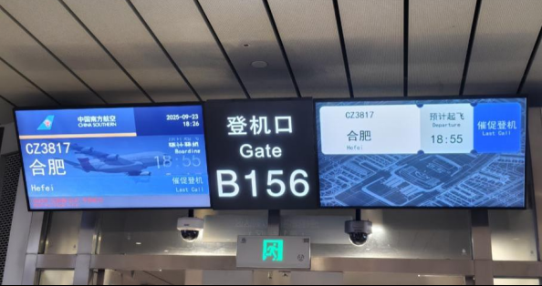 广东省脐血库千里驰援送“生命火种”  合肥白血病患者获新生