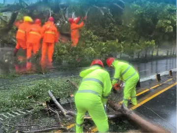风雨中,看见深圳的力量